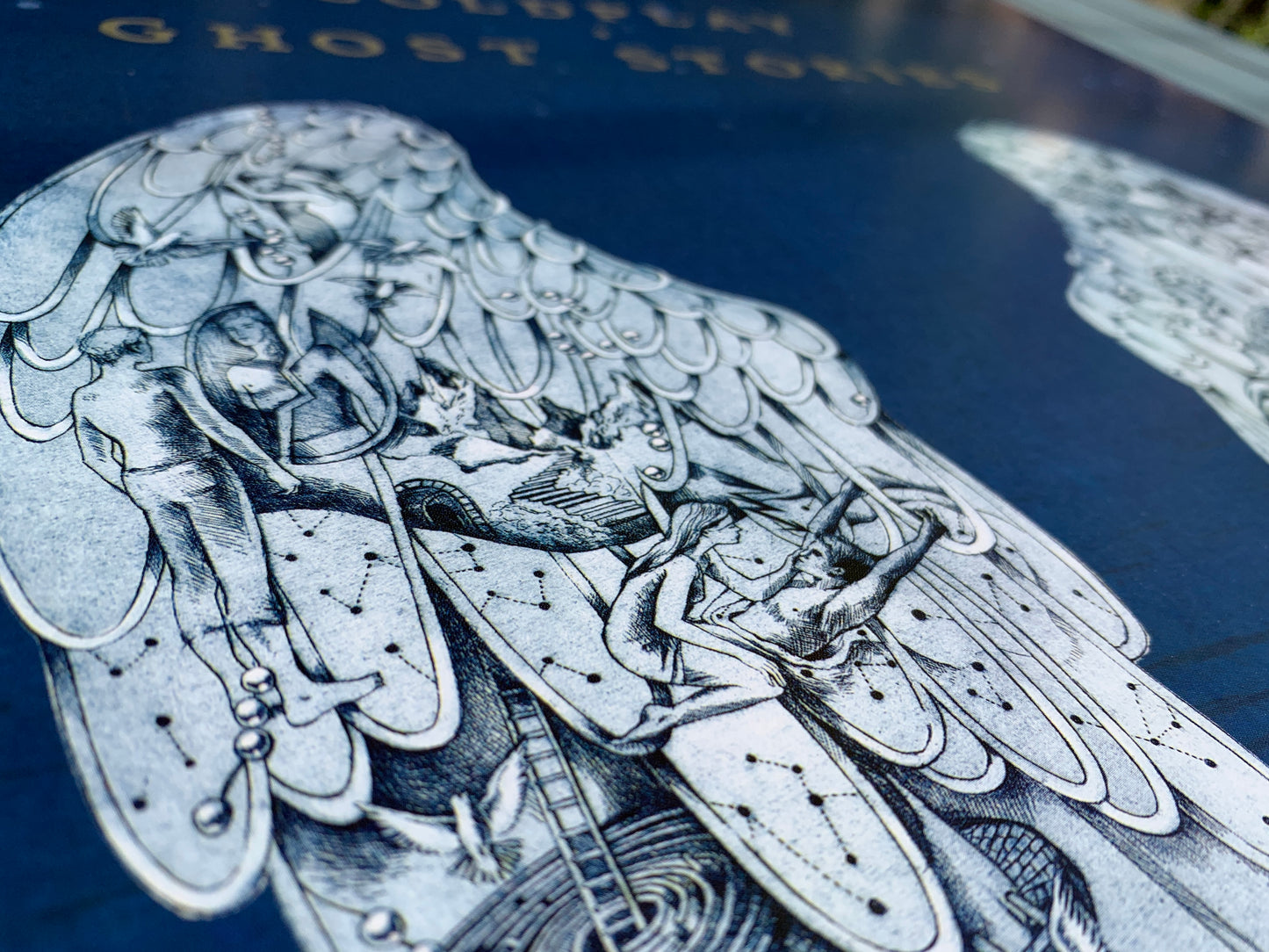 Zoomed in image of the Ghost Stories lithograph. It is the same photo as the previous images, but someone has magnified a wing, to allow for closer inspection.